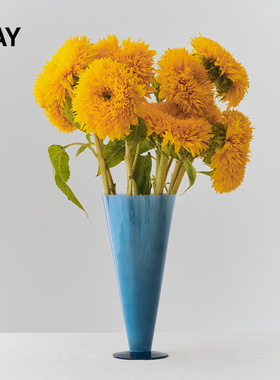 HAY Conical Vase 花瓶简约艺术玻璃花瓶氛围感礼物