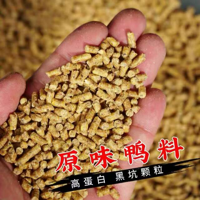 ຕົ້ນສະບັບ pellet duck feed ຂຸມສີດໍາຕົ້ນສະບັບ herring feed pellet ຮັງອຸປະກອນການ nesting feed ການຫາປາທໍາມະຊາດ ຮັງອາຫານປາ
