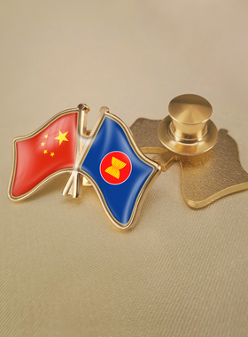 中国和东盟双旗帜交叉旗帜友谊旗帜徽章胸章高档配饰