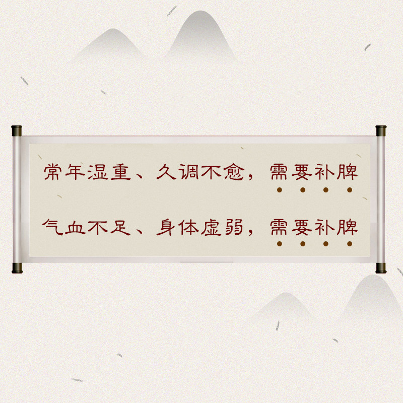 培源丸健建脾去湿排湿气补脾祛湿茶 玖和健康养生茶