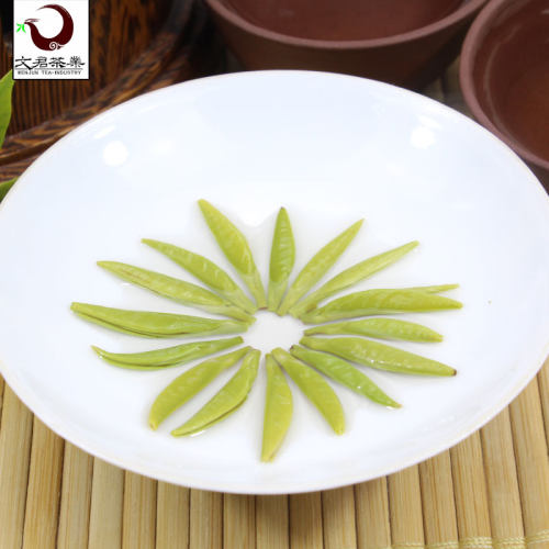 文君茶君味2025新茶明前绿茶雀舌茶叶毛尖茶礼盒装216g - 图2