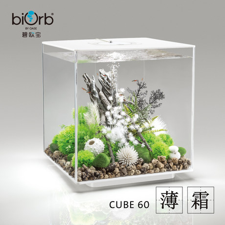 square aquarium