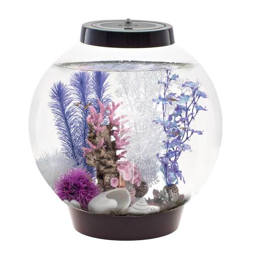 biorb英国进口30L LED灯创意鱼缸水族箱客厅家用生态造景装饰摆件 - 图1