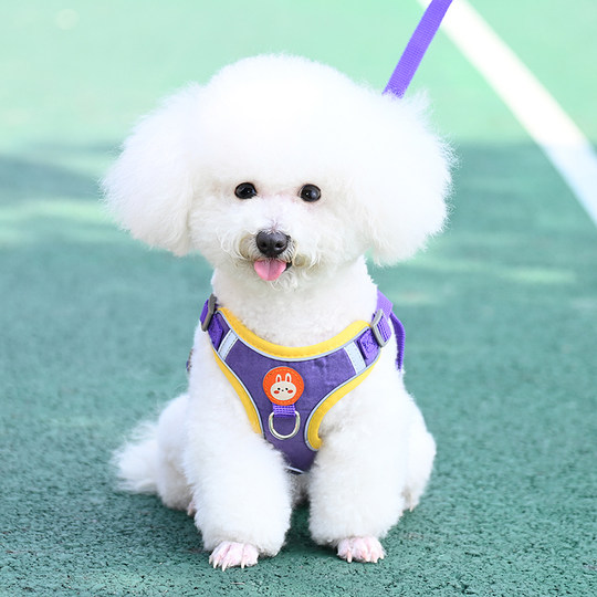 Carroll dog harness is breathable and adjustable