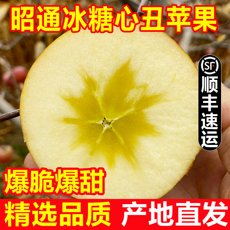 精品礼盒装云南冰糖心大果10斤苹果 翠蕊苹果