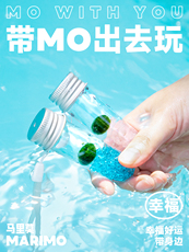 Водоросли мяч marimo马里莫 随身瓶 口袋宠物趣味水培好养幸福海藻球藻盆栽礼物