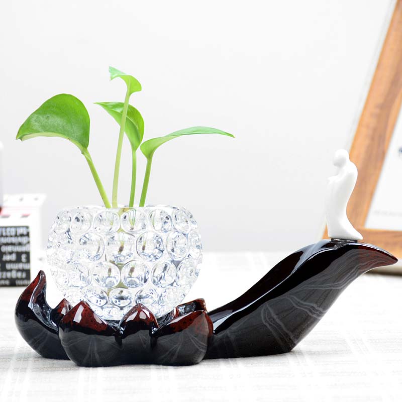 透明皿植物玻璃瓶水养花瓶 养花花盆绿萝水培创意室内 器个性摆件 - 图0