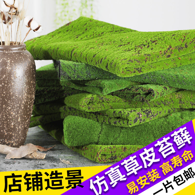 苔石 新人首单立减十元 21年8月 淘宝海外