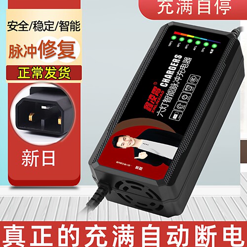 适用于新日金箭电动车电瓶充电器36V48V60V72V64V20AH30AH防触碰 - 图0