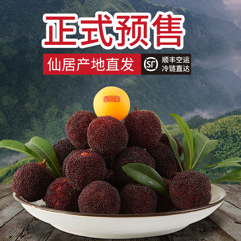 仙乡旗舰店【贡品级】正宗仙居杨梅新鲜东魁杨梅现摘现发当季水果6斤礼盒装0