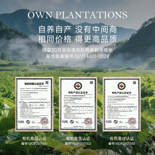 钱皇有机双宫蚕丝被100桑蚕丝官方旗舰店丝绵被结婚子母被子被芯 - 图0