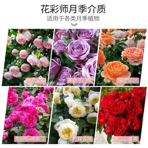 虹越花彩师营养土透气疏松玫瑰月季专用介质盆栽养花种植土壤量贩 - 图1