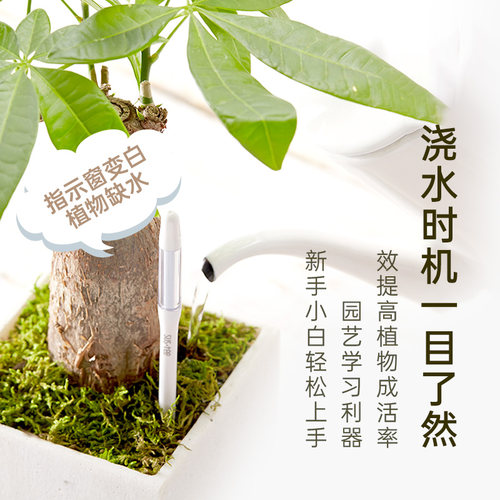 sustee花信水分计缺水份提醒检测仪湿度器土壤养植物浇水兰花盆栽 - 图2