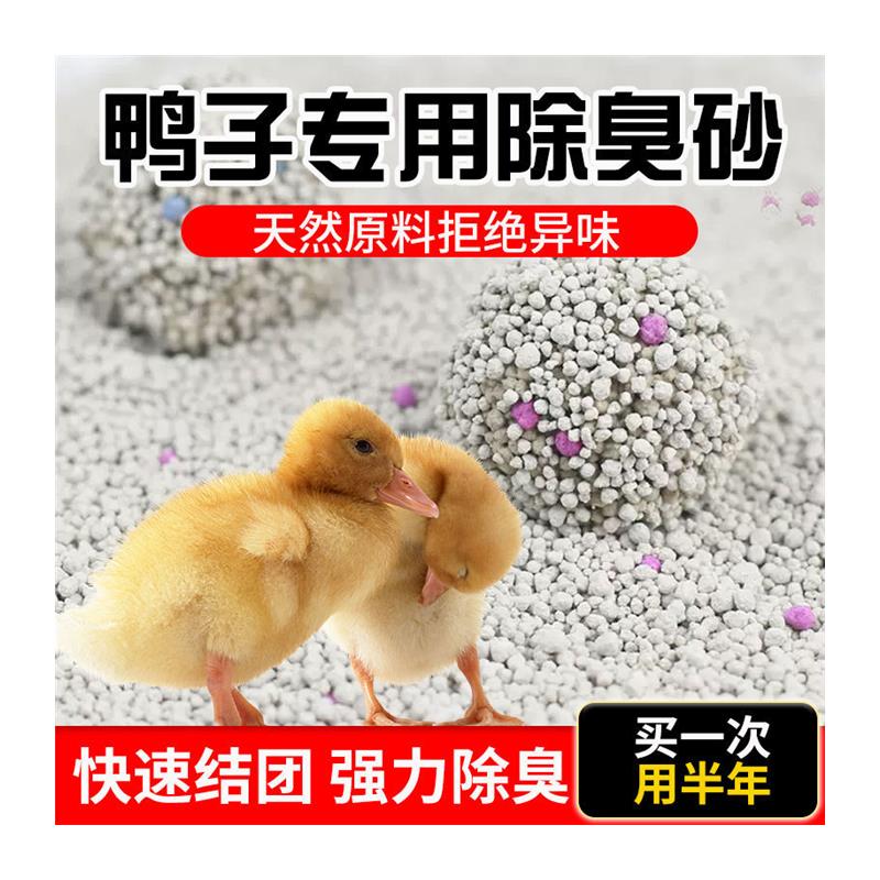 鸭子除臭垫料砂宠物柯尔鸭沙子厕所垫料尿砂10斤20斤粪便清理清洁 - 图3