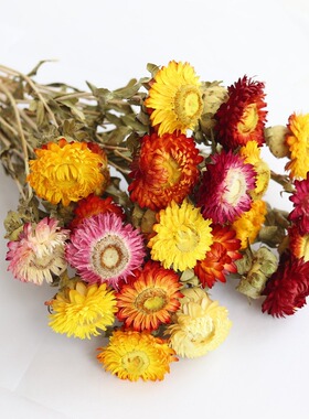 云南干花花束天然真花麦杆菠萝