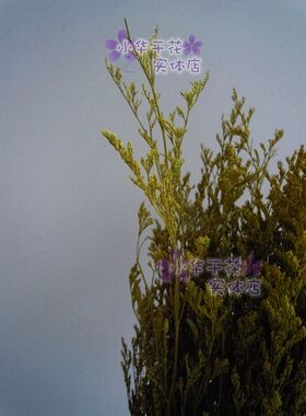 多色天然植物云南客厅花艺干花田