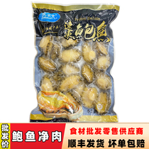 (abalone net meat 500G) abalone meat Dalian fish Mrs. Fresh frozen abalone net meat baby coveting one