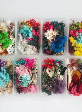 混装手工diy材料包花材天然植物干花幼儿园森系环创装饰圣诞松果
