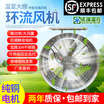 Air Dehumidification Axial Blower Greenhouse Strawberry Greenhouse Air Circulation Blower Multi-Broccoli Nursery Circulation Blower