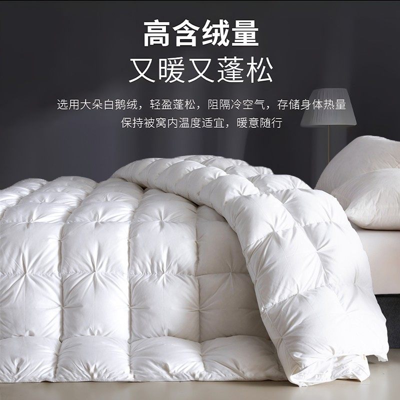 五星级酒店京希尔顿95白鹅绒冬被羽绒春秋被子家用加厚暖学生被芯,淘宝优惠券,粉丝福利购,淘宝优惠卷