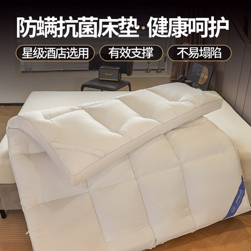 洲际半岛酒店专用床垫软垫加厚家用卧室防滑褥子宿舍铺底保暖垫被 - 图3