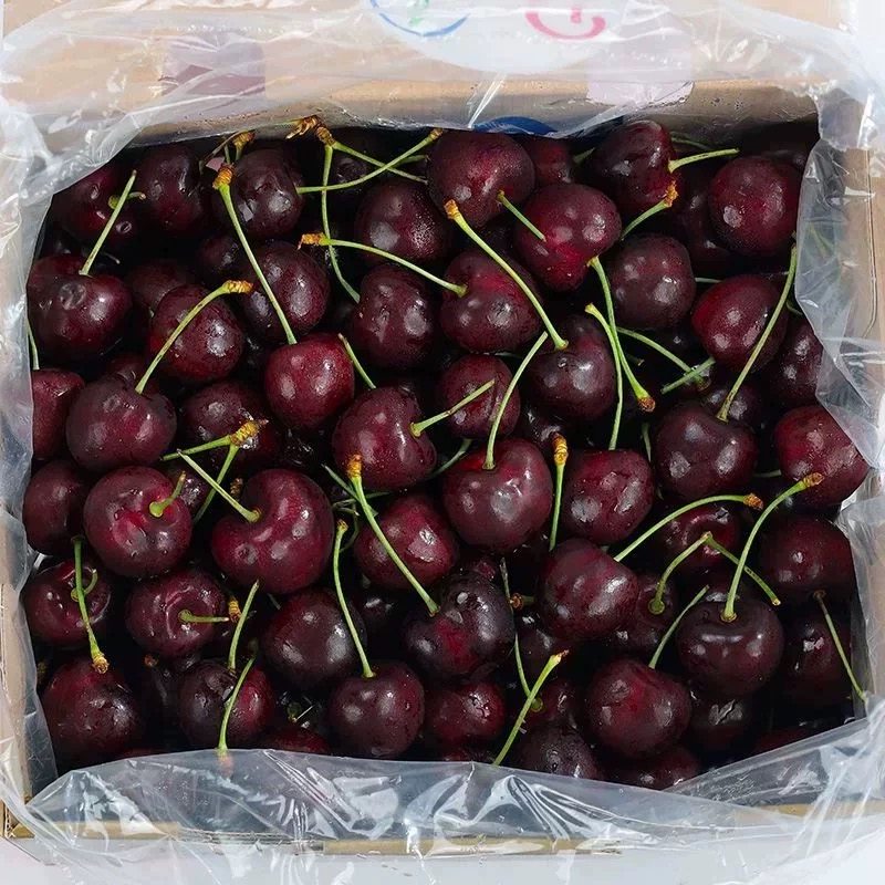 【现货】新鲜车厘子智利进口整箱高档大果樱桃孕妇当季新鲜车厘子,淘宝优惠券,粉丝福利购,淘宝优惠卷
