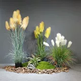 Моделирование тростника бонсай приземляется зеленые растения северные домашние украшения Внутренний ландшафт