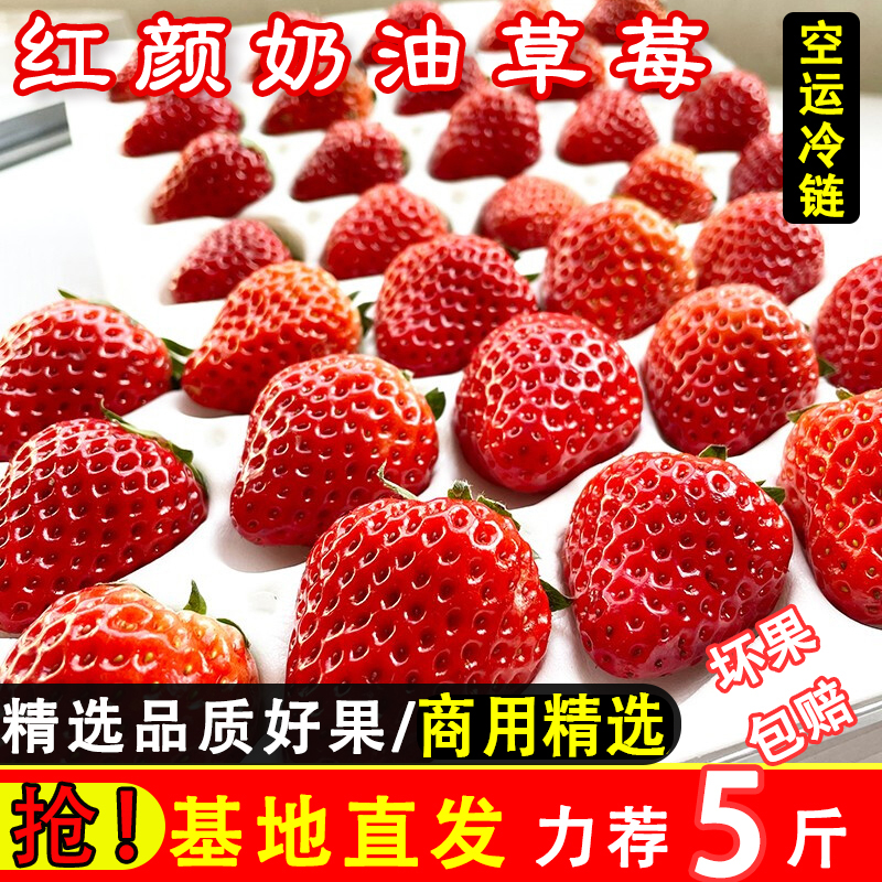 草莓新鲜商用奶油10斤孕妇水果红颜奶油草莓整箱蛋糕奶茶糖葫芦草 - 图2