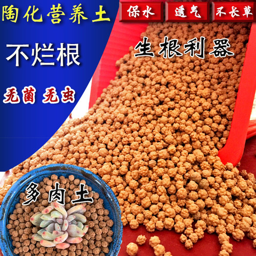多肉专用颗粒营养土通用铺面无虫无菌活力多元土凹凸透气生根球球 - 图1