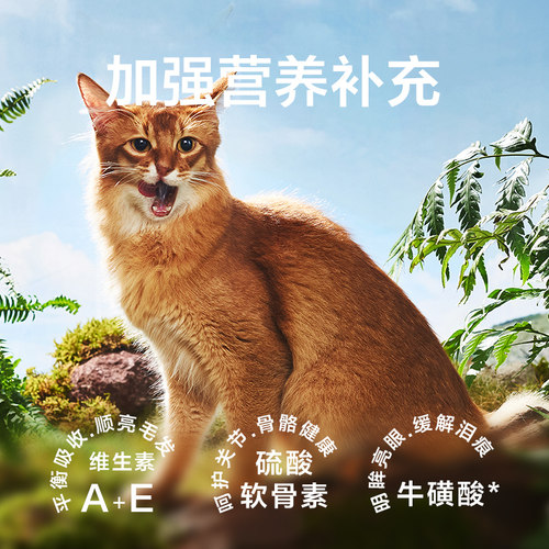 网易严选天成猫罐头鸡胸肉幼猫零食罐头补水湿粮猫咪零食增肥 - 图2