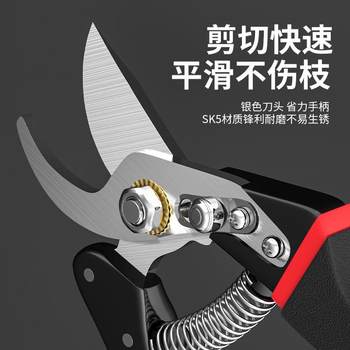 SK5 pruning shears, ມີດຕັດສວນສໍາລັບການຕັດກິ່ງງ່າ, pruning ສວນ, pruning ຕົ້ນໄມ້ຫມາກໄມ້, shears pruning ດອກ