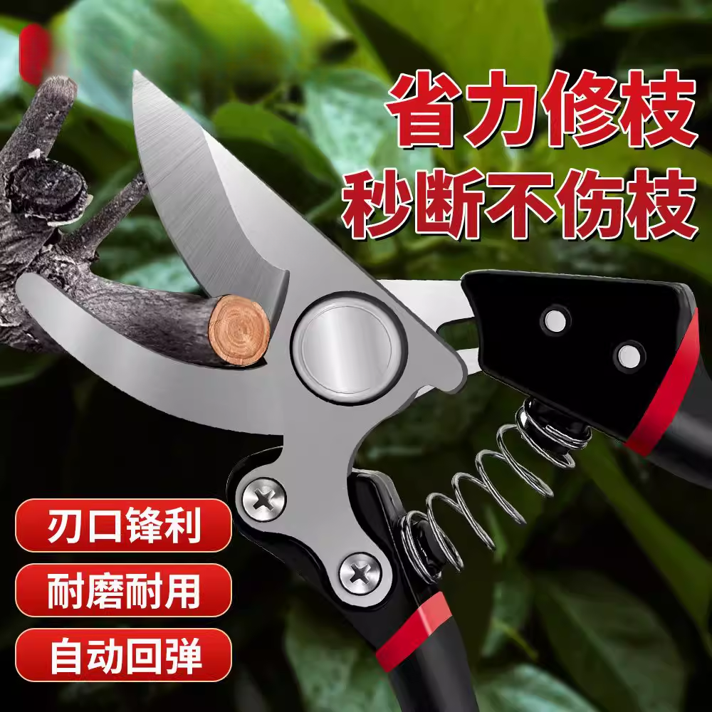 锰钢剪树剪子果树剪粗枝树枝修剪刀新款SK5原装家用花卉园艺剪刀,淘宝优惠券,粉丝福利购,淘宝优惠卷