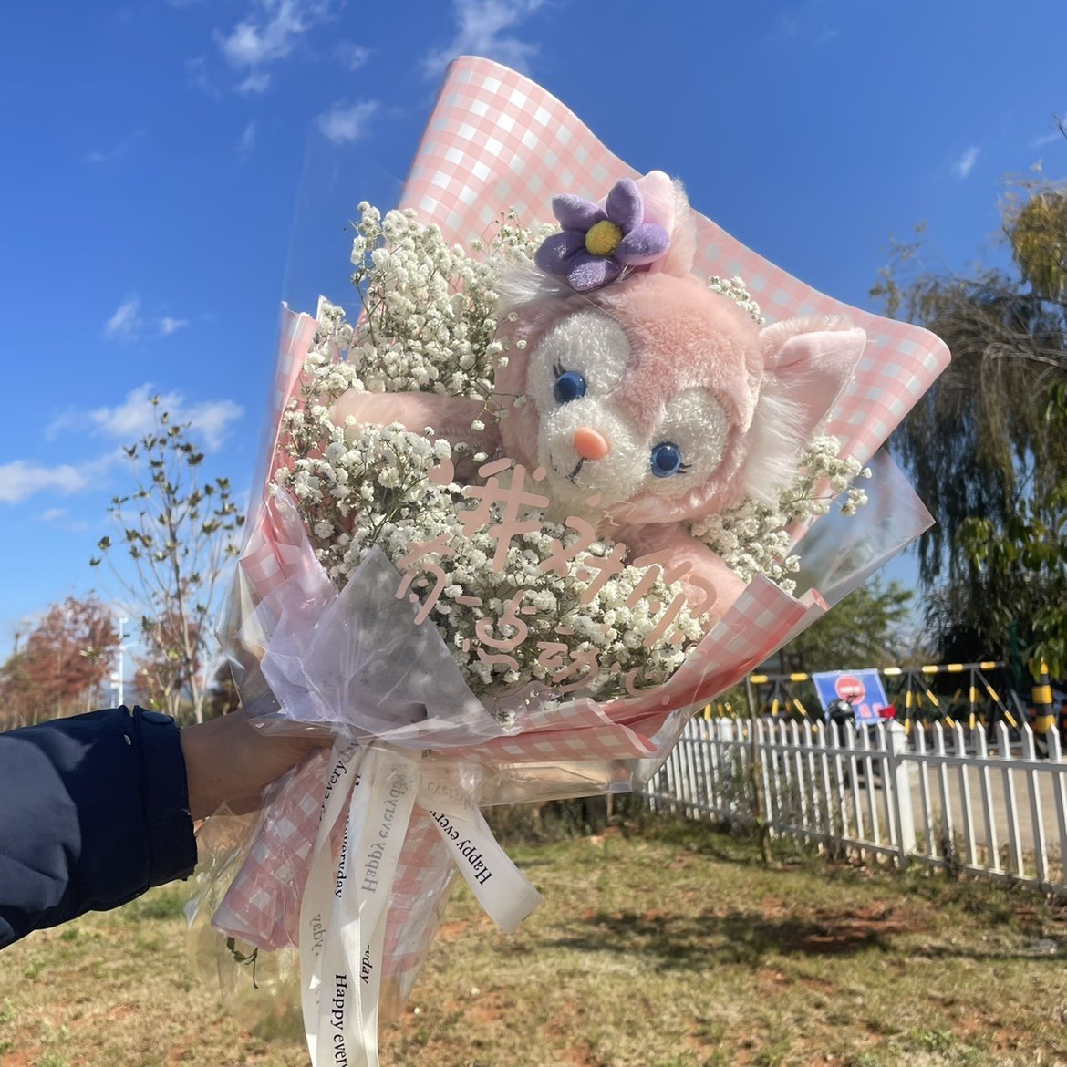 成品玲娜贝儿花束满天星干花星黛露迪士尼公仔圣诞毕业礼物网红