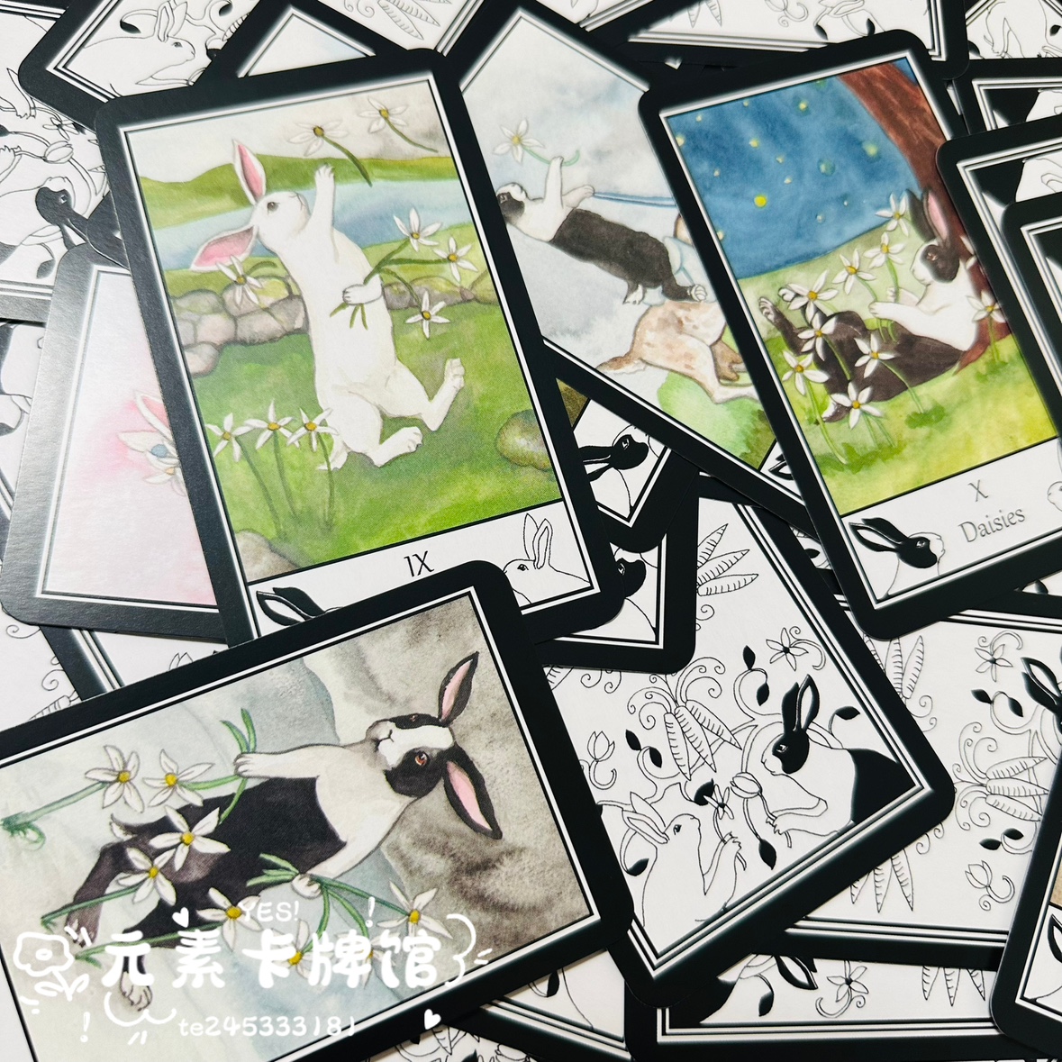 进口 rabbit tarot 可爱兔卡罗牌 - 图1