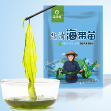 海得辉盐渍海带苗1000g