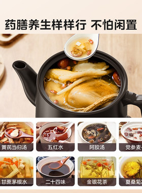 美的家用电煎药壶中药熬煮养生