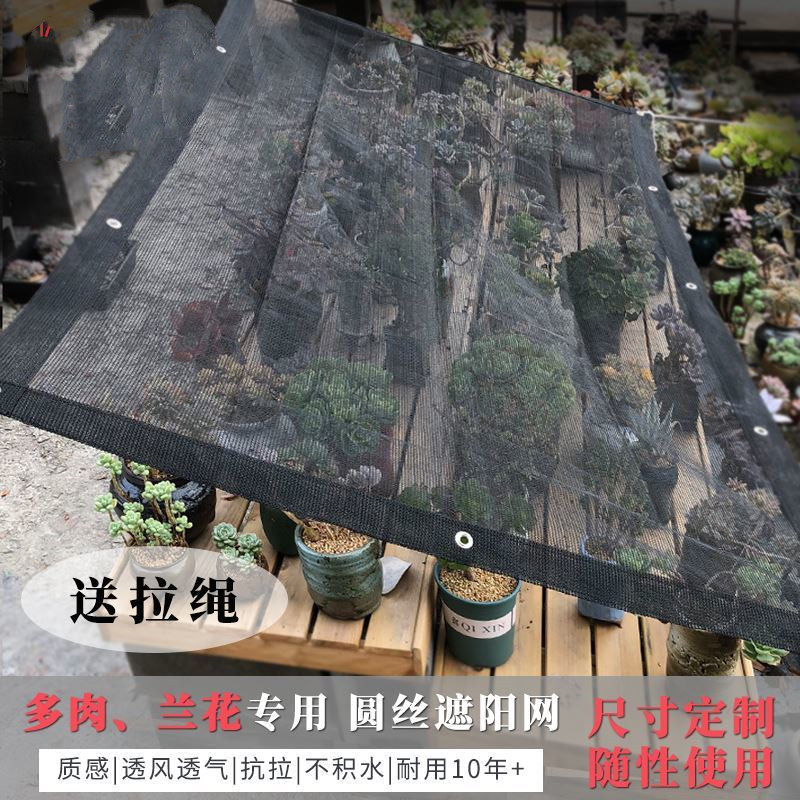 遮光网多肉 新人首单立减十元 21年7月 淘宝海外