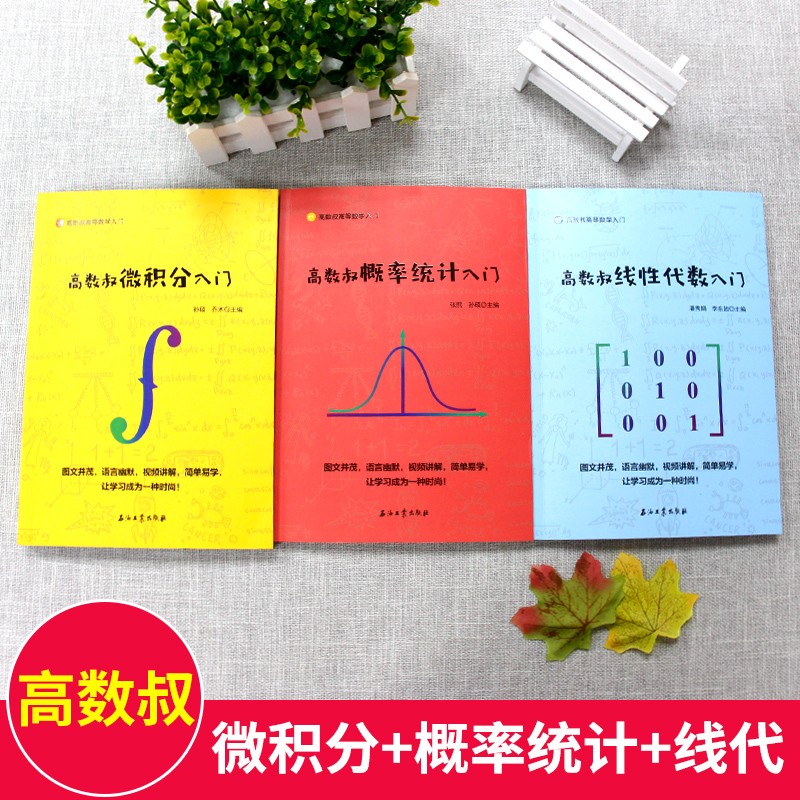 高数叔概率统计入门线性代数入门微积分入门总复习笔记 2020正版大学物理微积分入门高等数学入门大学高等数学教材同步辅导-图2