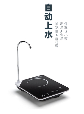 迷你电陶炉自动上水煮茶壶2025新