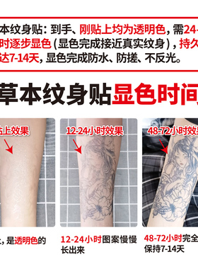 指尖蝴蝶迷你烟花草本小图纹身贴