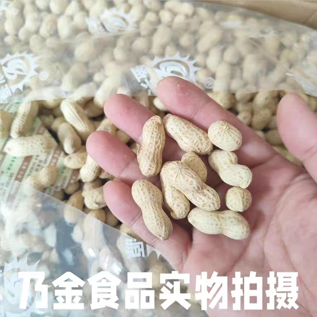 Shengxingyuan tangerine peel peanuts 500g new peanuts launched