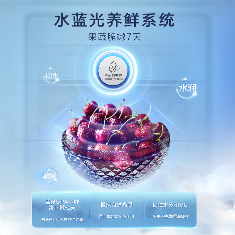 容声519l法式多门四门一级电冰箱 海信厨房冰箱