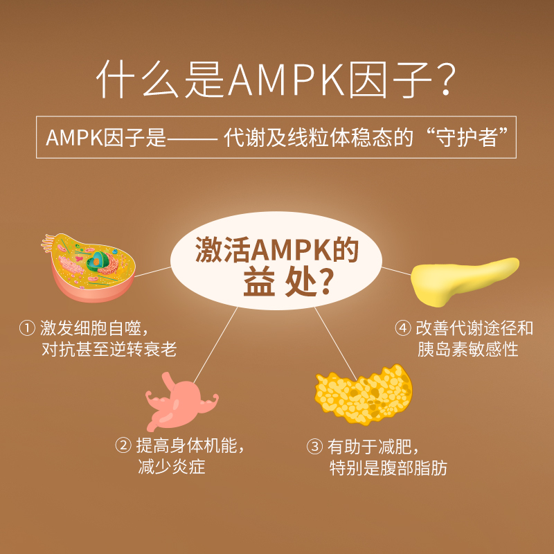 澳洲BIOE线粒体AMPK代谢咖啡胶囊健身 - 图2