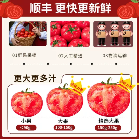 正宗新疆普罗旺斯西红柿沙瓤自然熟番茄新鲜水果当季整箱番茄蔬菜 图片 5
