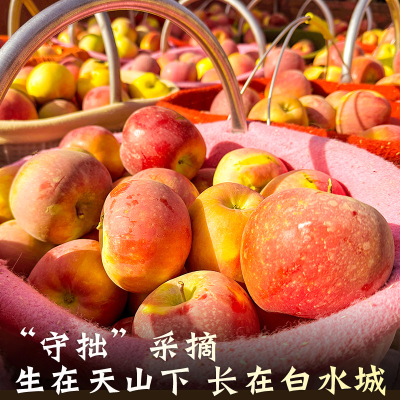 图 5