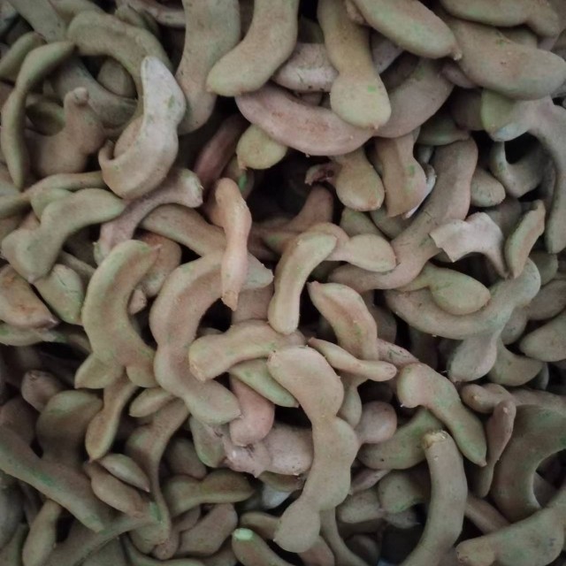 海南儋州生酸角青酸豆新鲜酸梅罗望子三亚酸鱼汤一件包邮500g,淘宝优惠券,粉丝福利购,淘宝优惠卷