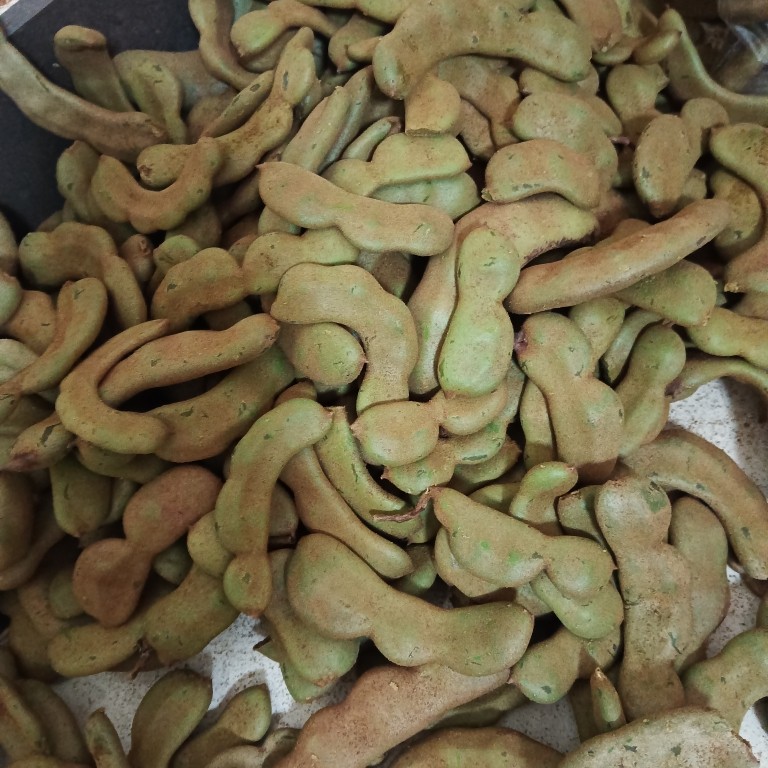 海南儋州生酸角青酸豆新鲜酸梅罗望子三亚酸鱼汤一件包邮500g,淘宝优惠券,粉丝福利购,淘宝优惠卷