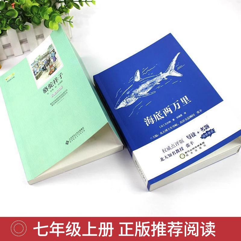 海底两万里和骆驼祥子原著必读正版书老舍七年级下册推荐阅读的课外书老师初一7下书目名著书籍二2万里样子-图0