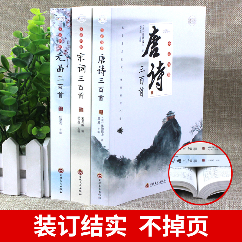 全3册唐诗三百首唐诗宋词元曲正版全集古诗词大全集书全高中生用鉴赏赏析诗词大会书籍全套诗集古诗全唐诗宋诗300首鉴赏辞典-图1