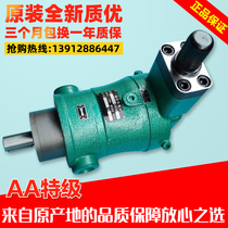 Enlighton High-pressure Oil Pump 10 10 25 40 63 63 80 80 160YCY 250YCY14-1B Axial Plunger Pump Hydraulic